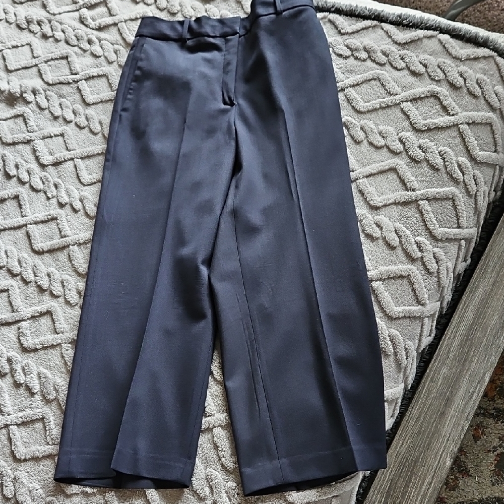 Aritzia Navy Blue Trousers